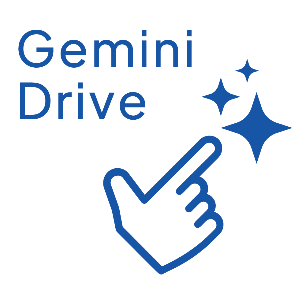 Gemini Drive